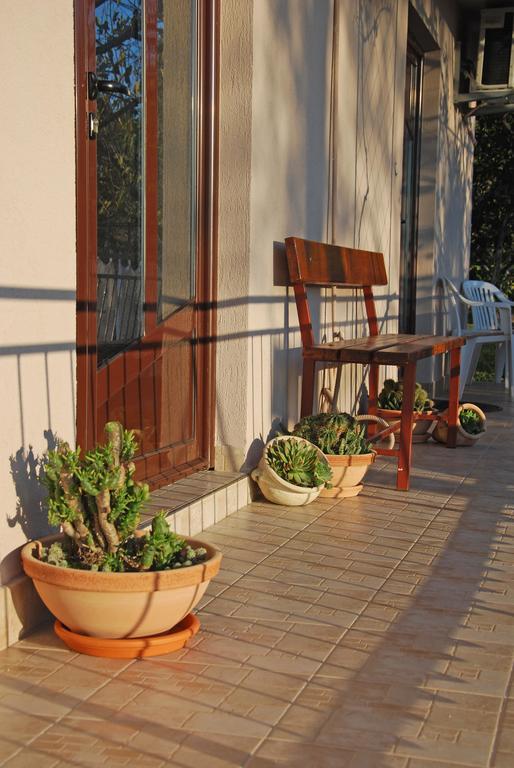 Apartments Iva Tivat Kamer foto