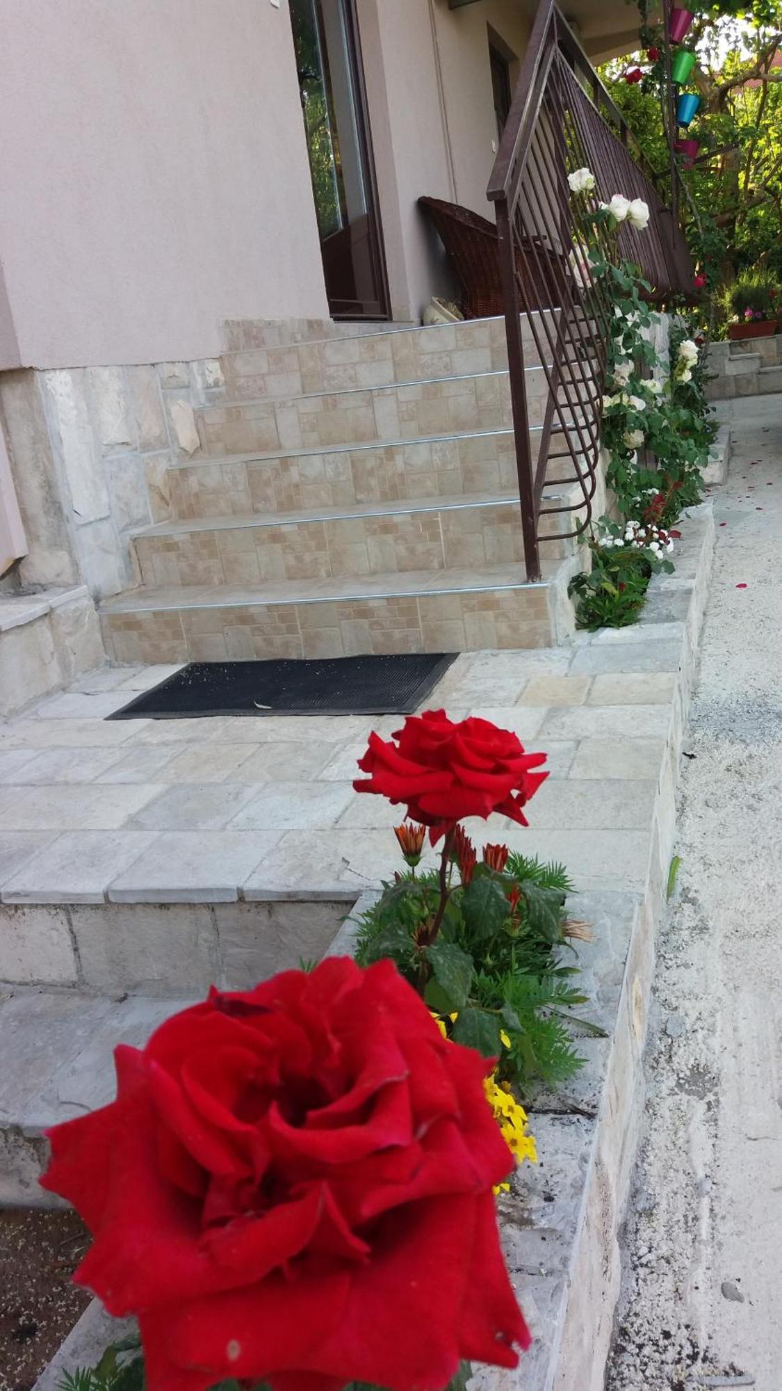 Apartments Iva Tivat Buitenkant foto