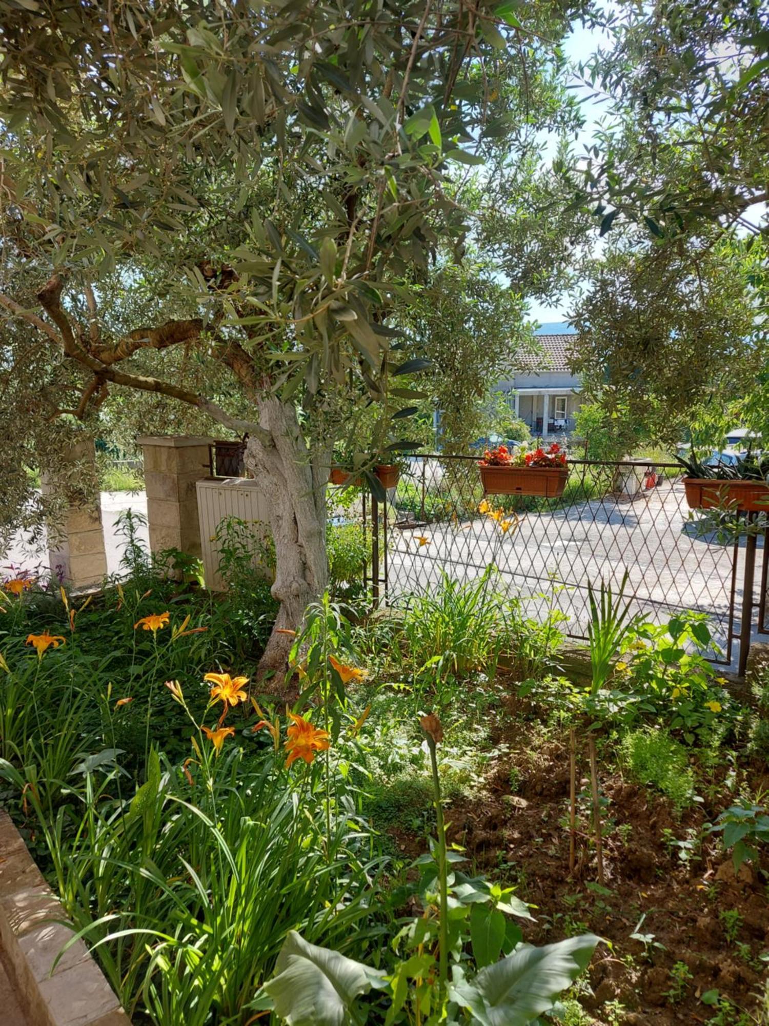 Apartments Iva Tivat Buitenkant foto