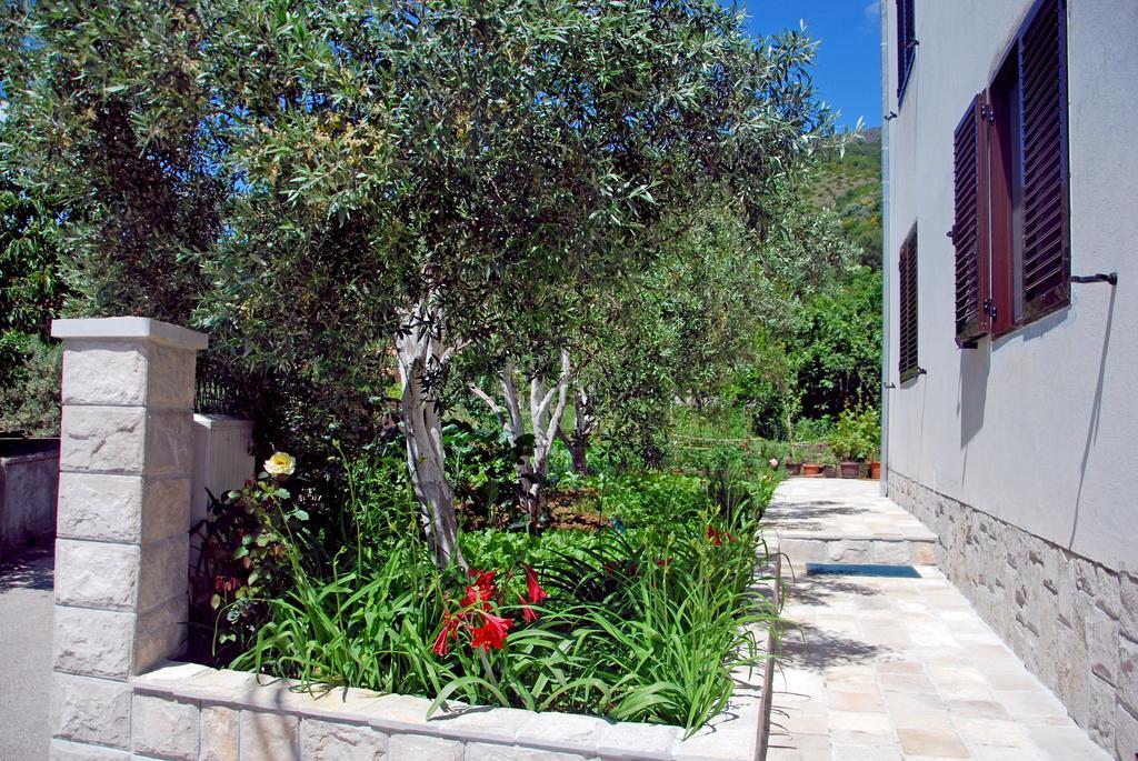 Apartments Iva Tivat Kamer foto